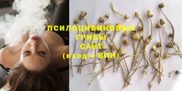 спайс Липки