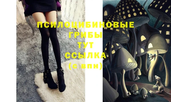 spice Лихославль