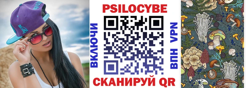 Галлюциногенные грибы Psilocybe Большой Камень